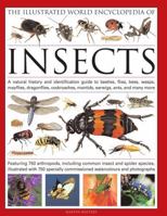 The Illustrated World Encyclopedia of Insects: A natural history and identification guide to beetles, flies, bees wasps, springtails, mayflies, stoneflies, ... spide (Illustrated World Encyclopedia) 0754819094 Book Cover