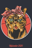 Kalender 2020: Wochenplaner zum notieren, organisieren und planen ca. DIN A5 6x9. Kalender / Terminkalender / Monats- / Tages�bersicht / Kontakt- / Geburtstags listen / Design: Katze Miau Mietze Katze 1678326860 Book Cover