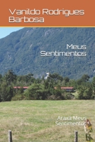 Meus Sentimentos: Araxá Meus Sentimentos 8544806163 Book Cover