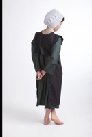 Sojourners Hollow: An anthology of Amish Romance 108869022X Book Cover