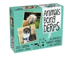 Animals Being Derps 2022 Day-to-Day Calendar 1524865818 Book Cover