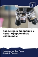 Введение в ферроики и мультиферроичные материалы 6205840081 Book Cover
