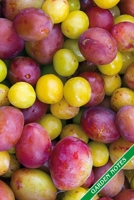 Garden Notes: Plums and mirabelle plums. Format A5, 120 pages, fine grey lined. Journal, diary, notebook and garden planner for everything that happens in the garden throughout the year. 1706165390 Book Cover