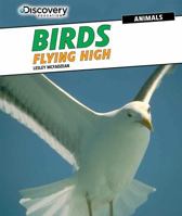 Birds: Flying High 1477769307 Book Cover