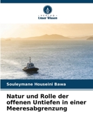Natur und Rolle der offenen Untiefen in einer Meeresabgrenzung 6205938421 Book Cover