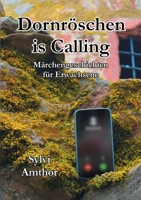 Dornröschen is Calling: Märchengeschichten für Erwachsene 3740782552 Book Cover