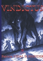 Vindictus (French Edition) B088T46PLV Book Cover