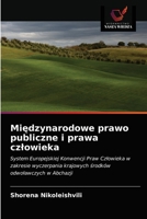 Międzynarodowe prawo publiczne i prawa czlowieka 6203349968 Book Cover