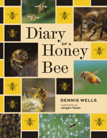 Diary of a Honey Bee 1588348164 Book Cover