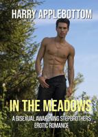 In the Meadows: A Bisexual Awakening Stepbrothers Erotic Romance Novel 1732834644 Book Cover