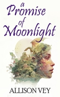 A Promise of Moonlight: a romantic fantasy sequel to “A Kingdom of Sails” B0GG5KFJ15 Book Cover