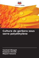 Culture de gerbera sous serre polyéthylène (French Edition) 6207925122 Book Cover