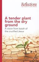 A Tender Plant from the Dry Ground: A Vision from Isaiah of the Crucified Jesus (Reflections 1846253144 Book Cover