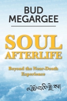 Soul Afterlife - Beyond the Near-Death Experience B085DL6FR8 Book Cover