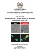 Activaci�n de Il23a Y Represi�n de Il12a Por Metabolitos En La Respuesta Inmune Th17 1339531003 Book Cover