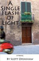 A Single Flash of Light 147910714X Book Cover