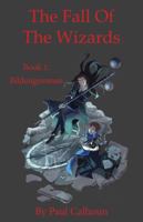 The Fall of the Wizards Book 1 : Bildungsroman 1733061312 Book Cover