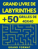 Labyrinthes: Livre de jeux Labyrinthe | 50 Grilles de 40x40 compliquées | Labyrinthe adulte grand format | Livre d'activité adulte. B087S82F96 Book Cover