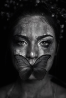 The Broken Butterfly B08W4SX5P7 Book Cover