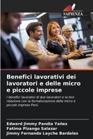 Benefici lavorativi dei lavoratori e delle micro e piccole imprese 6207798147 Book Cover