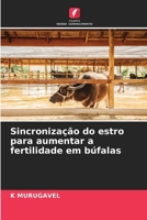 Sincronização do estro para aumentar a fertilidade em búfalas (Portuguese Edition) 6203495530 Book Cover