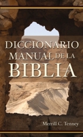 Diccionario Manual de la Bíblia 0829705341 Book Cover