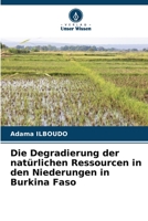 Die Degradierung der natürlichen Ressourcen in den Niederungen in Burkina Faso 6205328364 Book Cover