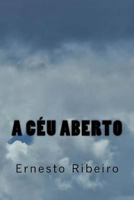 A C�u Aberto: Poesia sem asas 1493556460 Book Cover