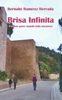 Brisa Infinita: Poemas para cuando todo oscurece (Spanish Edition) B0FLWGBZRR Book Cover