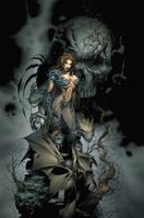 Top Cow Art: The Coffee Table Collection 1582404968 Book Cover