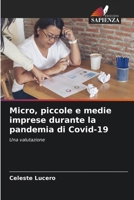 Micro, piccole e medie imprese durante la pandemia di Covid-19 (Italian Edition) 6208578116 Book Cover
