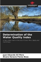Determination of the Water Quality Index 6205830825 Book Cover