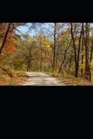 Les mondes invisibles: La quête du cristal élémentaire ... B0C7J4X5QM Book Cover