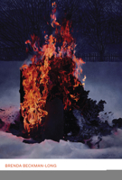 Carol Shields and the Writer-Critic 1442613955 Book Cover