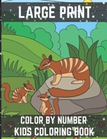 Large Print Color By Number Kids Coloring Book: A Simple Summer Color By Number Coloring Book for Kids B08HTJ7813 Book Cover