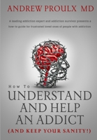 How to Understand and Help an Addict (and keep your sanity) 1738164500 Book Cover