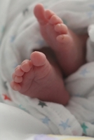 Journal: Baby Feet 1710293993 Book Cover
