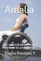 Amalia: Un amor que sobrevive en medio de las adversidades (Spanish Edition) B0H9ZW7NFR Book Cover