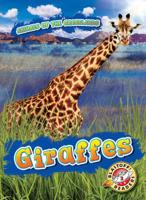 Giraffes 1644870576 Book Cover