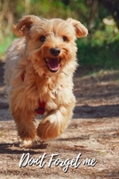 Don't Forget Me: Cute Dog Running.Internet Password Logbook with alphabetical tabs.Personal Address of websites, usernames, passwords notebook/Journal/Organizer/Keeper.Large printed format.Size 6x9 in 1709821027 Book Cover