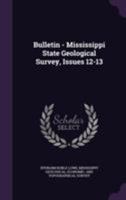 Bulletin - Mississippi State Geological Survey, Issues 12-13 1174887346 Book Cover