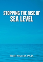 Stopping the Rise of Sea Level 0963242334 Book Cover