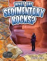 What Are Sedimentary Rocks? 0778772306 Book Cover