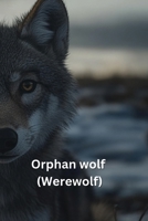 Orphan Wolf (WEREWOLF) B0DS95NVW3 Book Cover