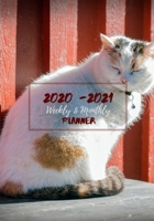 Weekly And Monthly Planner: Organize Your Daily Activities At Home School And Office - Cute White Cat (2020-2021) 1691266183 Book Cover