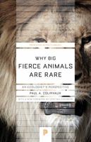 Why Big Fierce Animals Are Rare : An Ecologist's Perspective 0691023646 Book Cover