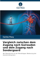 Vergleich zwischen dem Zugang nach Guiraudon und dem Zugang nach Sondergaard (German Edition) 6209733948 Book Cover