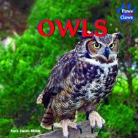 Owls 1404241655 Book Cover