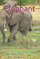 Elephant B0C91JYN6G Book Cover