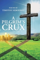 A Pilgrim's Crux B0BYTR8DXB Book Cover